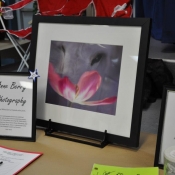 Framed Photograph by Anne Berry Photography