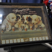 Yuengling Lab Puppy Photo