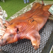 Satterfield\'s BBQ pig